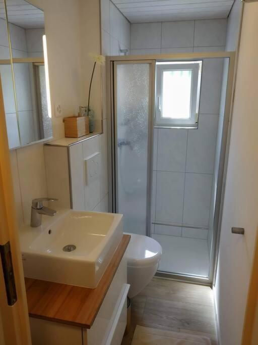 Bijou 1 Huebsche 1 Zimmer Wohnung Herisau Εξωτερικό φωτογραφία